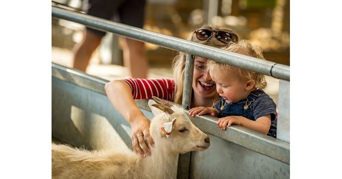 Toddlers go free to Cotswold Farm Park on Tuesdays